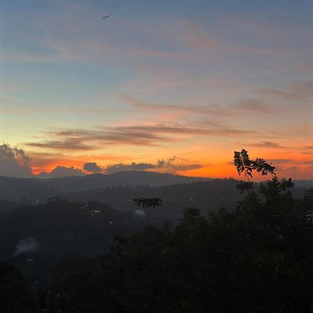 Kandy Hill Escape Esterno foto